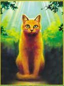 kittenfoal