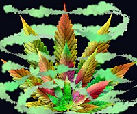 Acid Trip