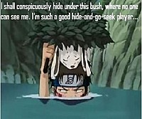 SUMONINJA50