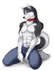 kingofkittys09