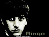 PONDD