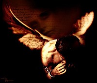 Fallen Angel 91
