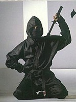 Darktheninja