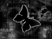 KuraiButterfly