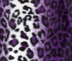 PurpleFuzz