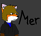 Meroki