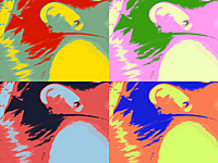 bandmonkey