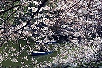 Masamune8108