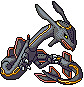 Wyverii