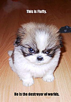 @wesome_fluffy:xD