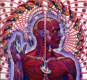 RealitySculpter