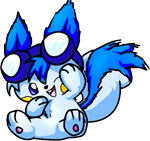 Pachirisu468