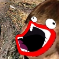 garyminusr