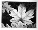TheFlowingLeaves