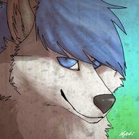 Fox McCloud101