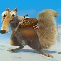 SpammyMcSquirrel