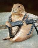 DreammyMcSquirrel