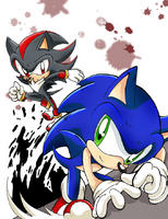 shadow2225