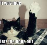 dude_