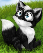 Shadow_Tail