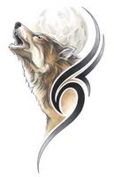 livewire13
