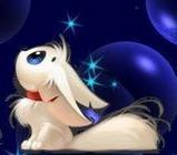 foxescurse