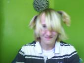 chocobo311