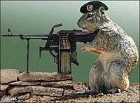 chunkymcsquirrel