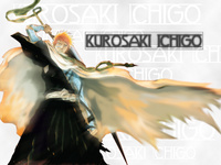 Ichigo__Kurosaki__01