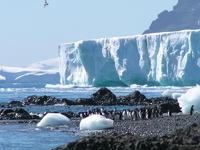 Antarctica