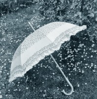 rainy swish