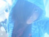 dolphinsxrxcute