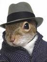 ZappyMcSquirrel