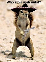 RoyMcSquirrel
