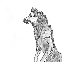 BAHAMUTxxFURY