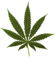 Lucille420