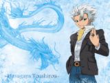 Capt. Hitsugaya