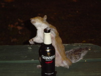 furslide4itg