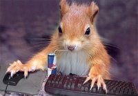 ToothguyMcSquirrel