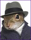 AniMcSquirrel