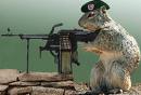 LieutenantMcSquirrel