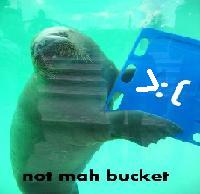 FFR WALRUS