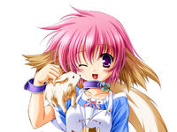 Miaou6468