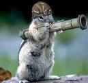 BBoyMcSquirrel