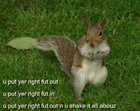 BlackMcSquirrel