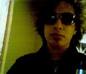 Dindon_Fou