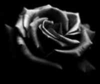 LivingLove