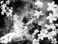 Xxevil_angelxX