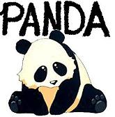 Panic King Panda