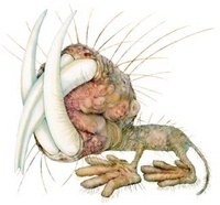 MrRat